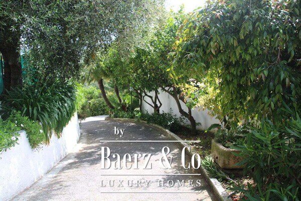 photo 17 Villa for sale 350 m²