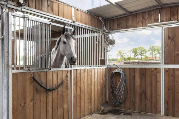 photo 40 Kampsteeg 45