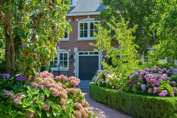 photo 13 Buitenpad 1