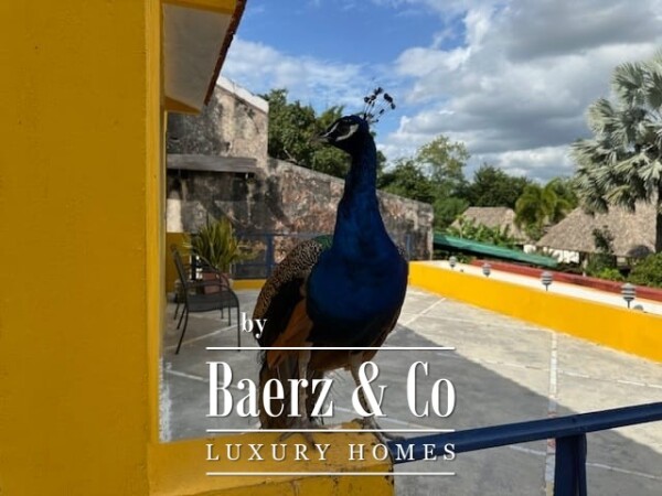 photo 4 Hacienda San Jose Pachul - Spa/retreat on the way to the beach