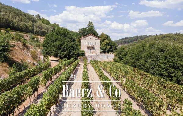 photo 1 Manor house in the Dão wine region