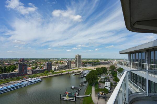 photo 40 Kaapstander 278