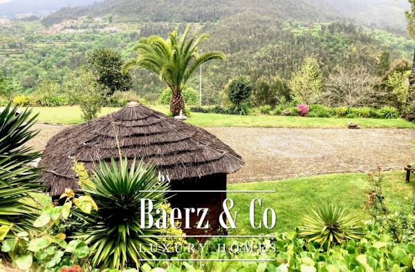 photo 31 Wonderful farm near the Vouga River