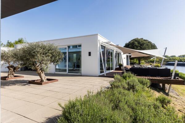 photo 12 Waterlelie 15