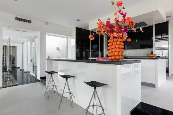 photo 33 Waterlelie 15