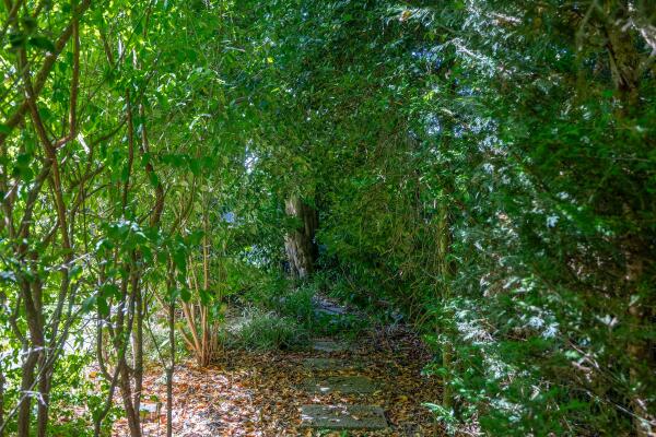 photo 41 Lekdreef 13