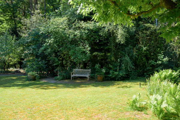 photo 59 Oude Bredasebaan 17