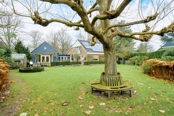 photo 2 Ameroever 64