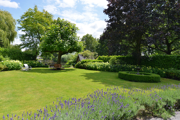 photo 44 Ameroever 64