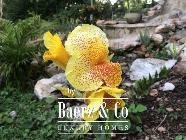 Floor Plan 1 - Luxury villa in Yucatán, turn key, presale