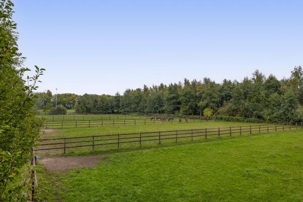 photo 40 Dungensesteeg 10