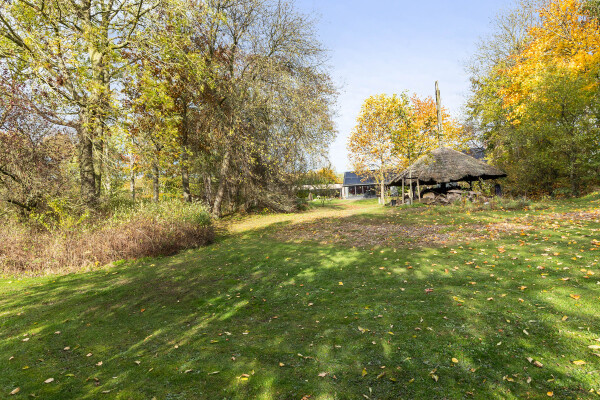 photo 78 Kletterstraat 27